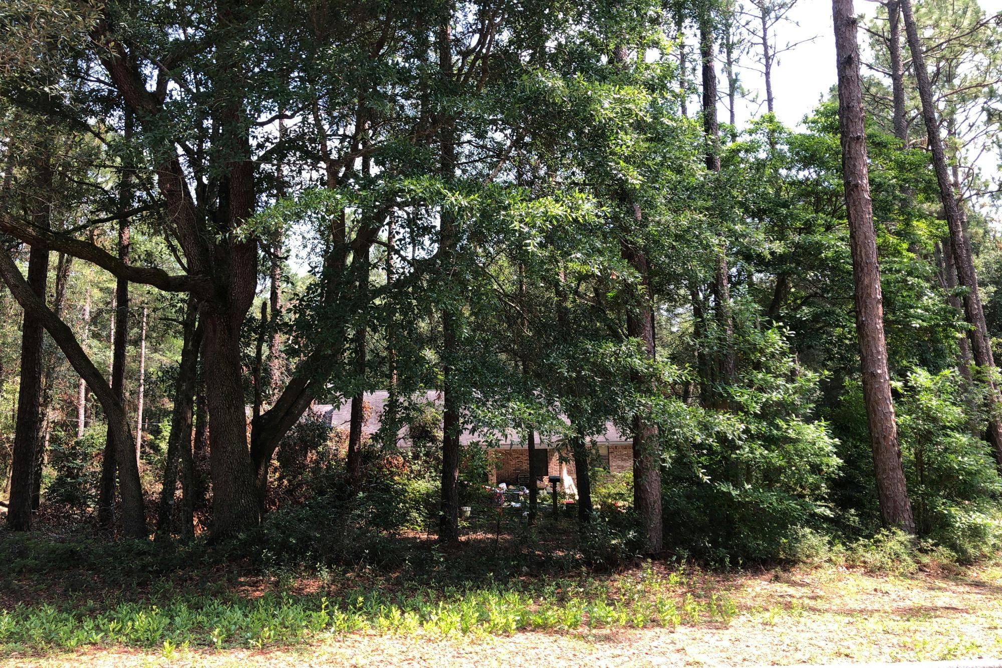 Greenwood Rd, Baker, FL 32531 #1