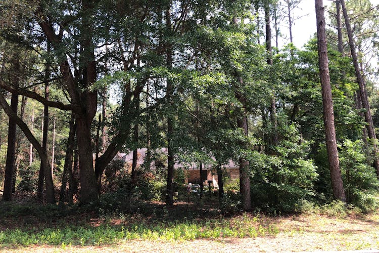 1587 Greenwood Rd Baker, FL 32531, Okaloosa County