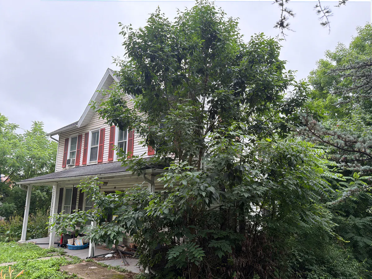 State St, Millville, PA 17846 #1