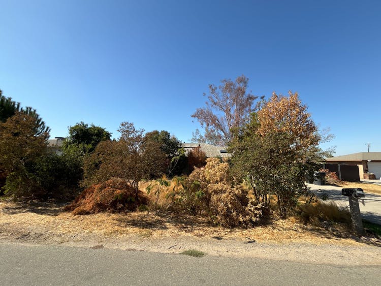 17096 Crescent Dr Madera, CA 93638, Madera County