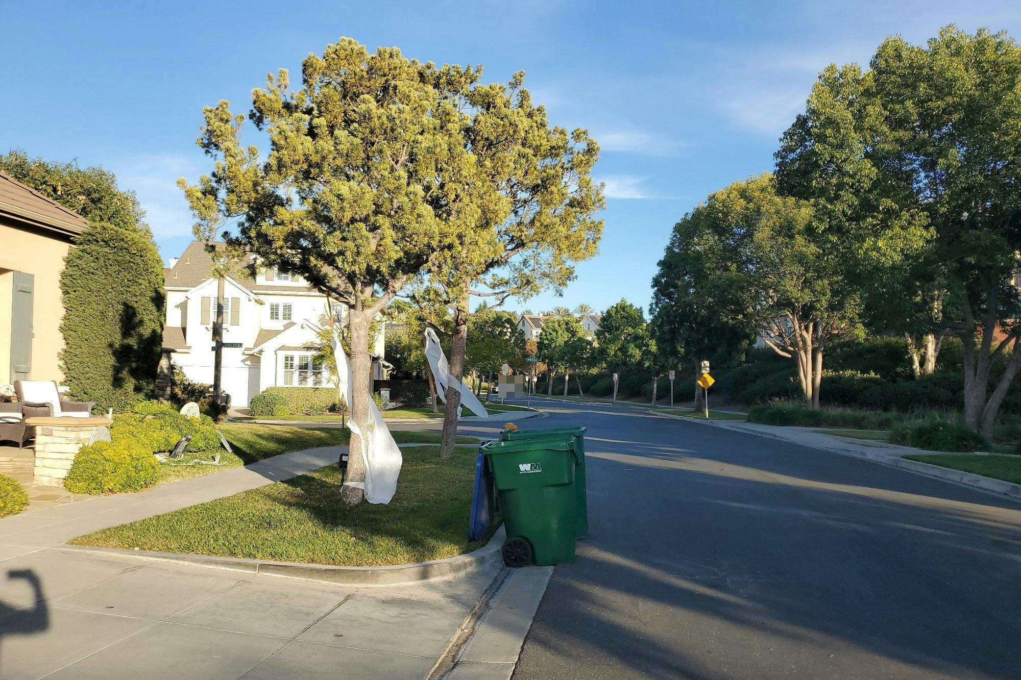 Celestine Cir, Ladera Ranch, CA 92694