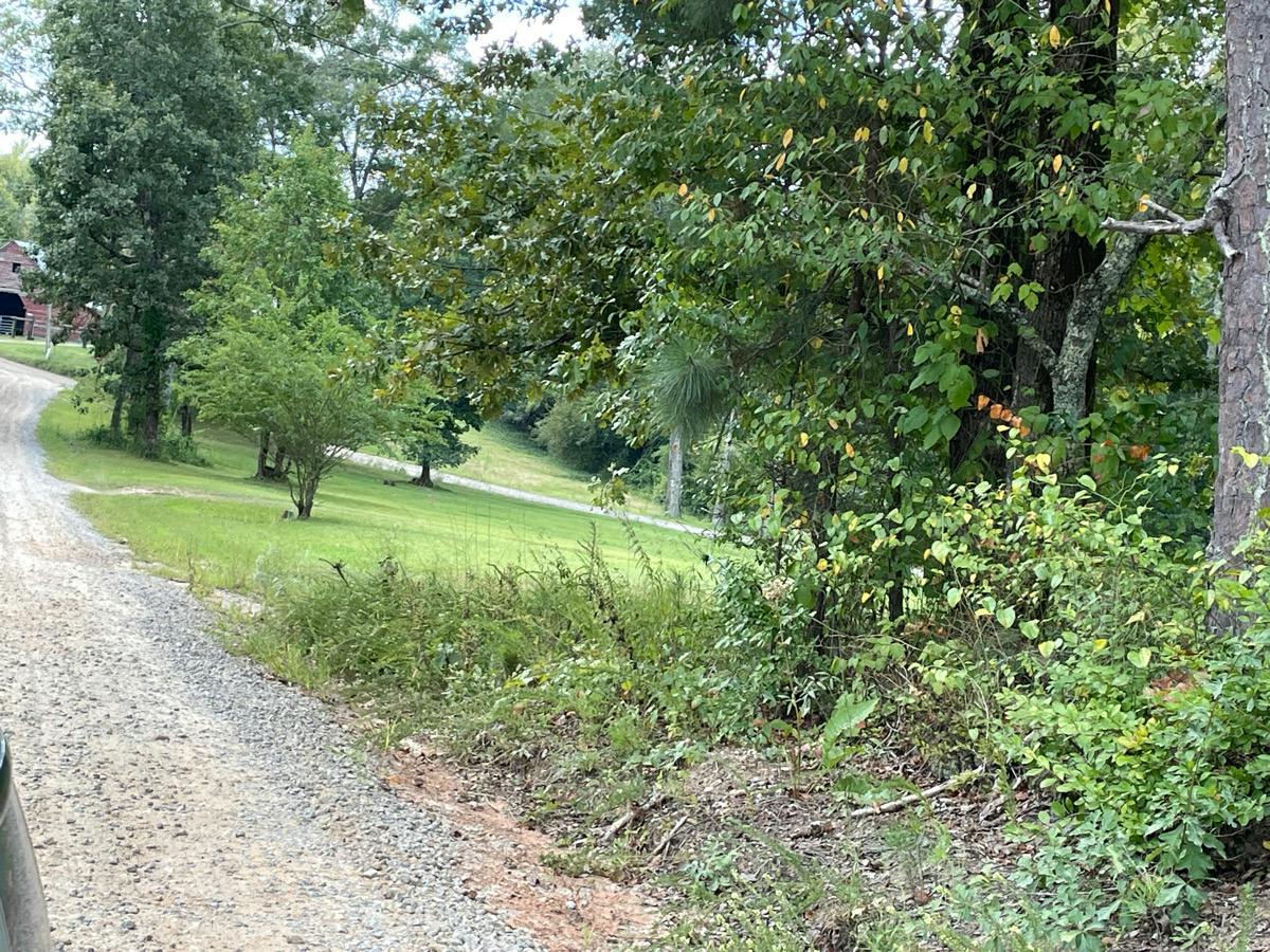 Agape Rd, Carrollton, GA 30116 #1