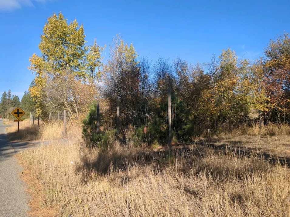 Hcr 293b Rosevelt Street Moyie Springs, ID 83845, Boundary County