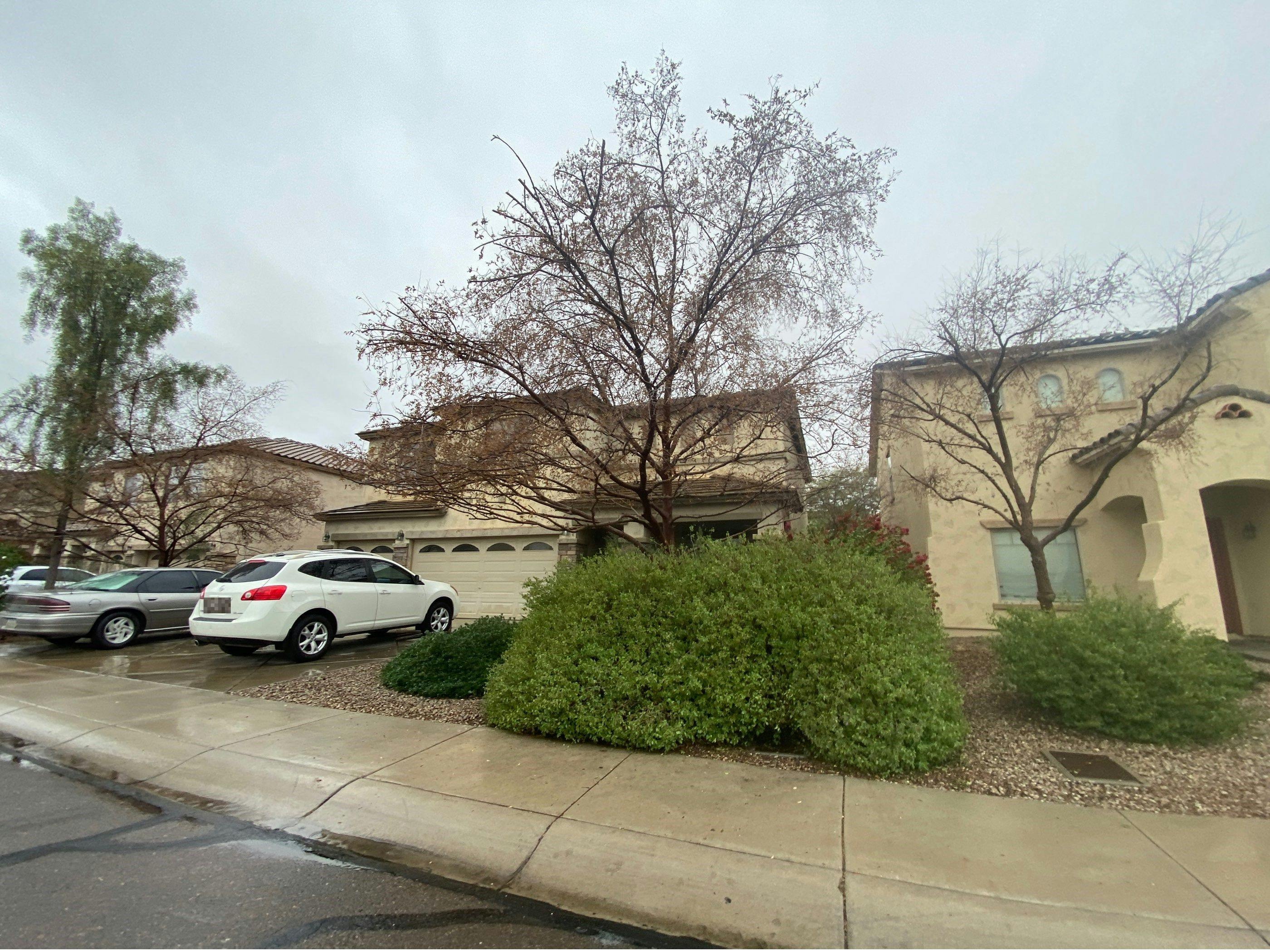 54th Ln, Laveen, AZ 85339 #1