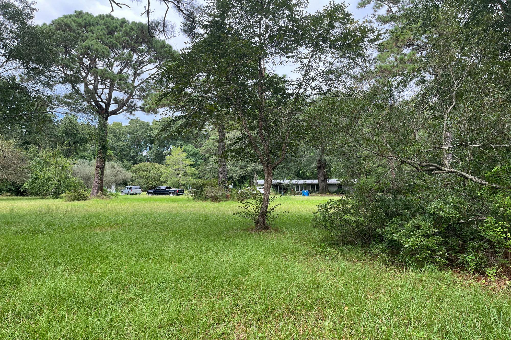 Doctor Whaley Rd, Johns Island, SC 29455 #1