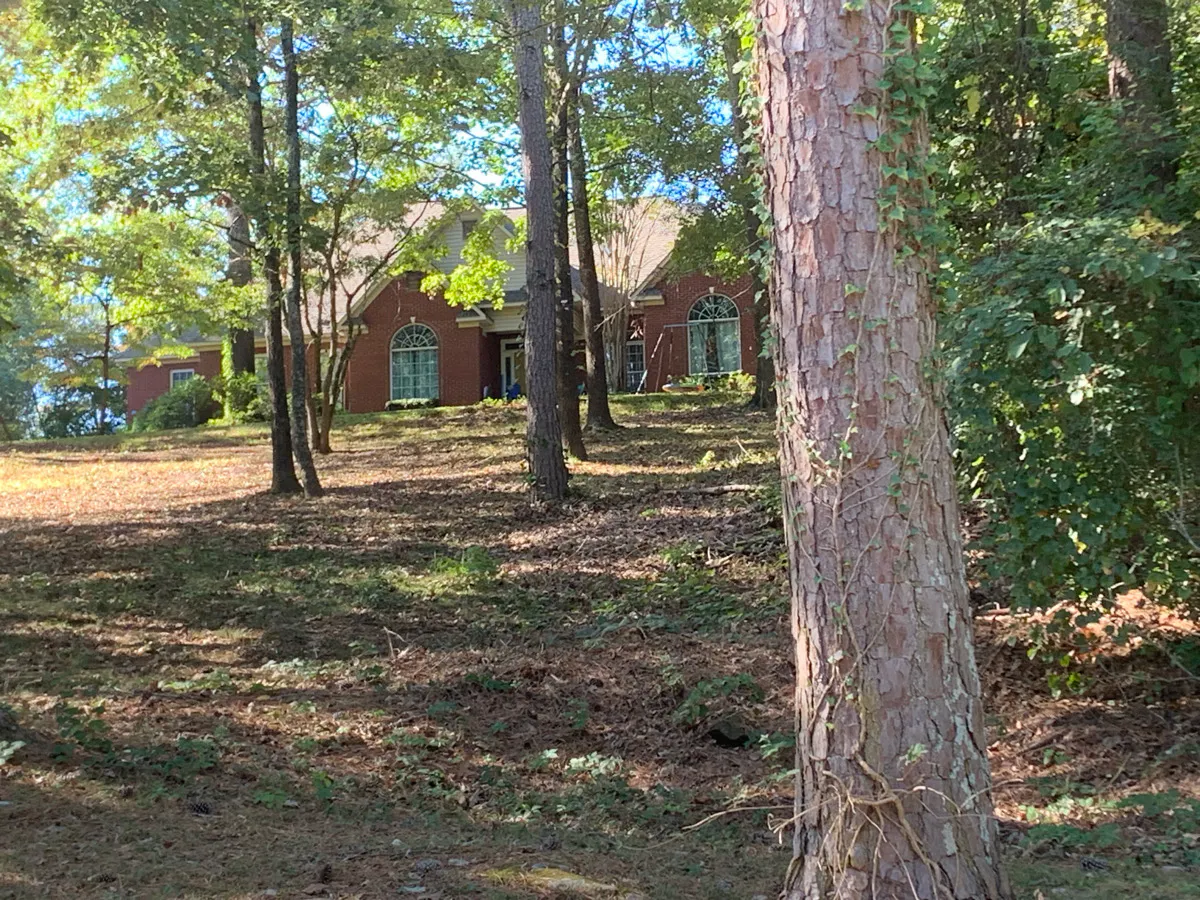 Jackson Trl, Guntersville, AL 35976 #1