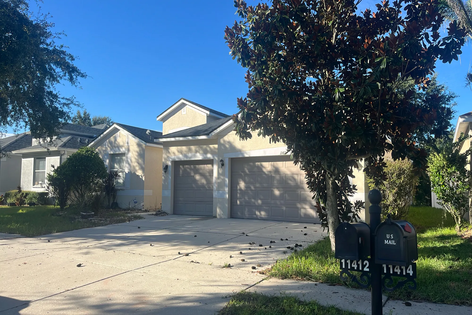Bridge Pine Dr, Riverview, FL 33569 #1