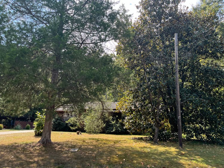 801 S Walston Bridge Rd Jasper, AL 35501, Walker County