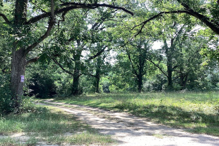 1202 County Road 19 N Prattville, AL 36067, Autauga County