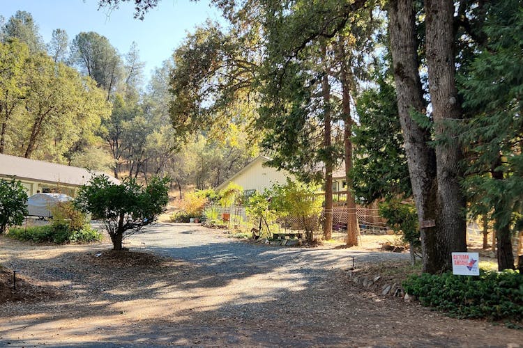 20496 Highway 26 West Point, CA 95255, Calaveras County