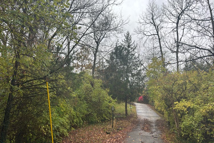 10525 Mill Road Cincinnati  (Springfield Township), OH 45240, Hamilton County