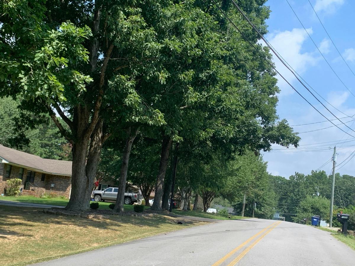 Maple Ln, Arab, AL 35016 #1