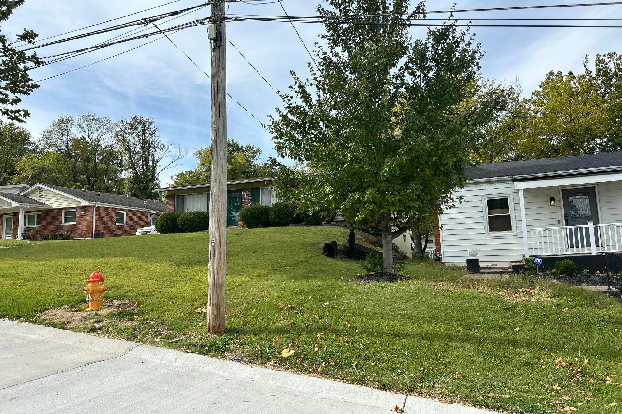 Payne Ave, Saint Louis, MO 63135 #1
