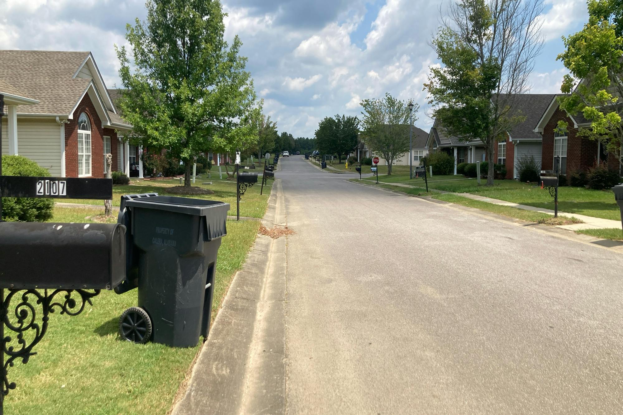 Village Ln, Calera, AL 35040 #1
