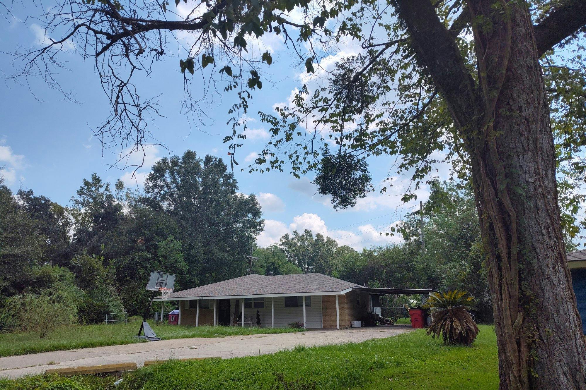 Dabney Dr, Denham Springs, LA 70726 #1