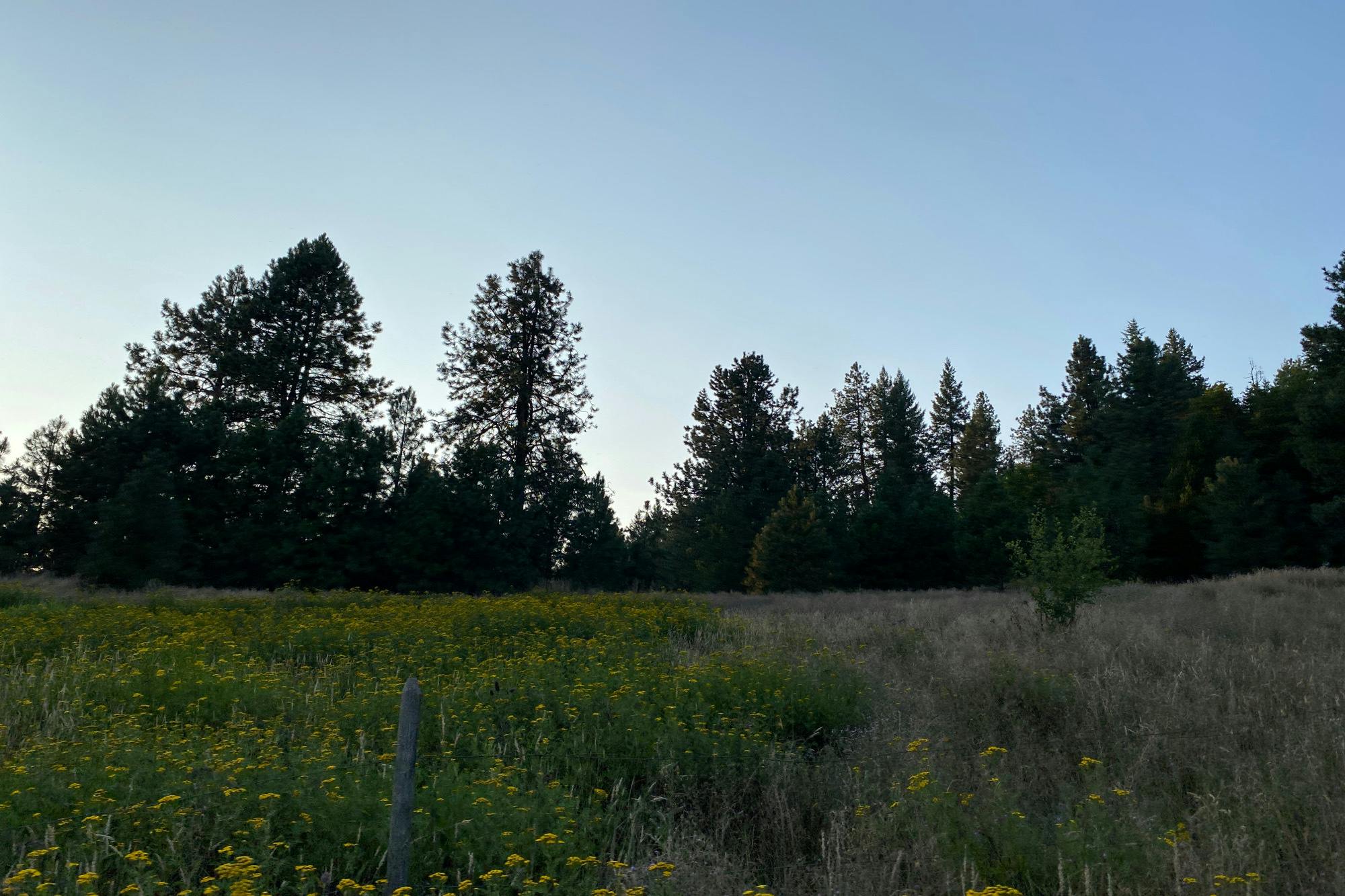 Thunder Rd, Cataldo, ID 83810 #1