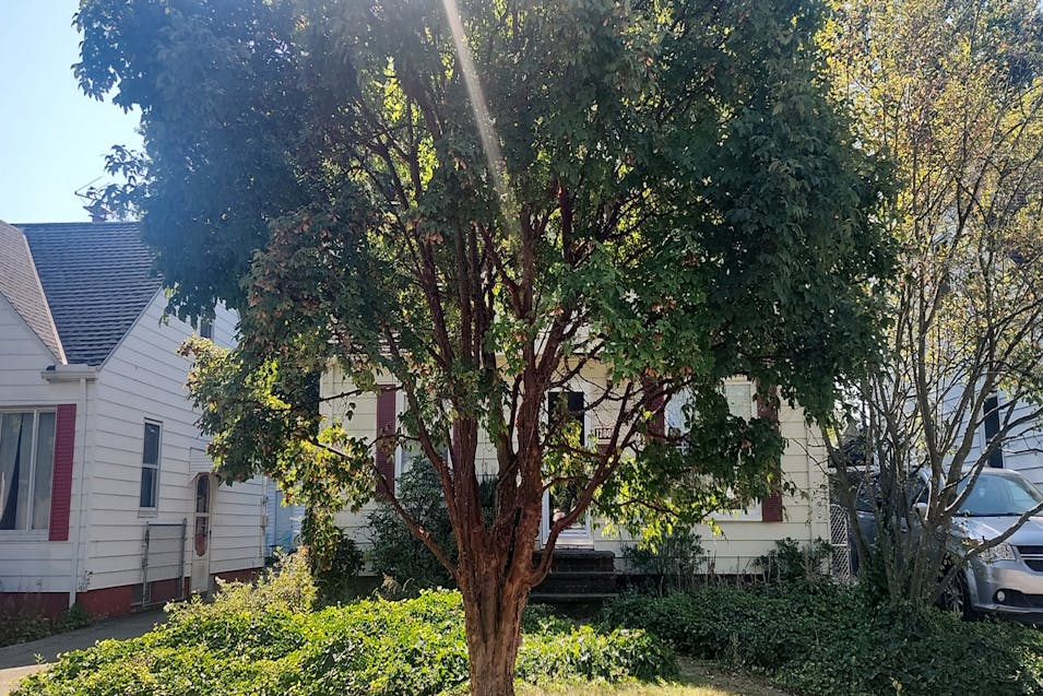 12808 York Blvd Garfield Heights, OH 44125, Cuyahoga County