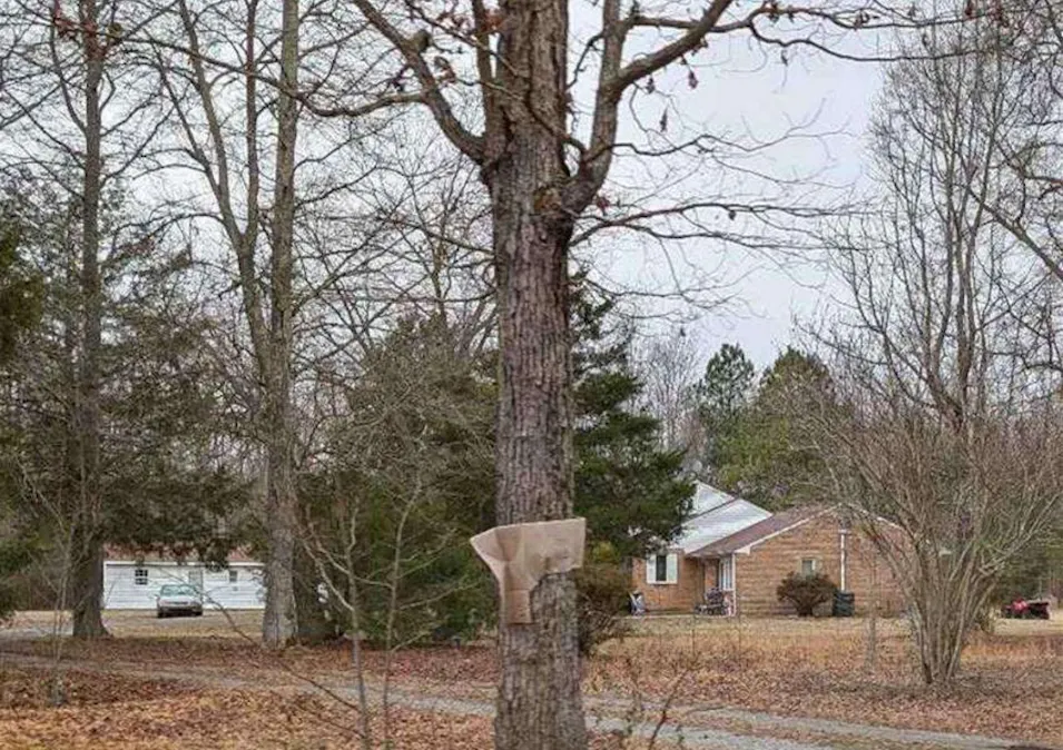 2330 Orion Rd Jarratt, VA 23867, Greensville County