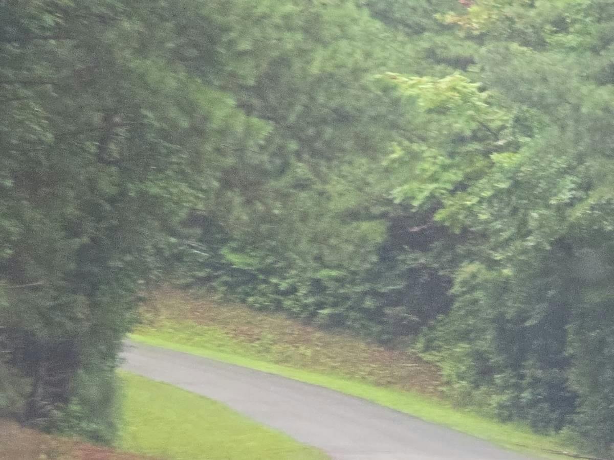 Copeland Ter, Graham, NC 27253