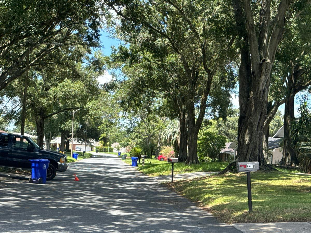 Orangewood Loop, Lakeland, FL 33813
