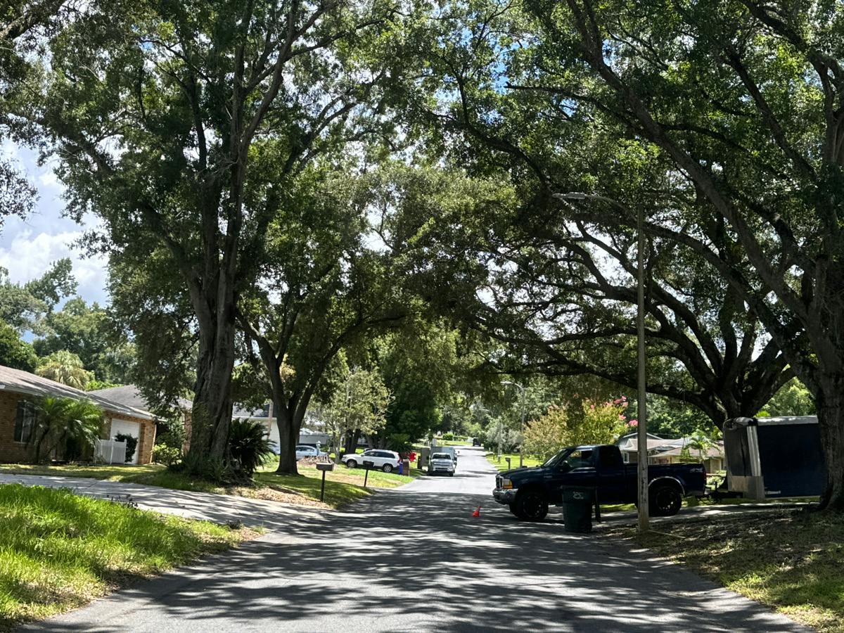 Orangewood Loop, Lakeland, FL 33813 #1