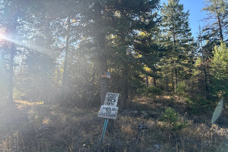 682 Hankinson Lane Kalispell, MT 59901, Flathead County