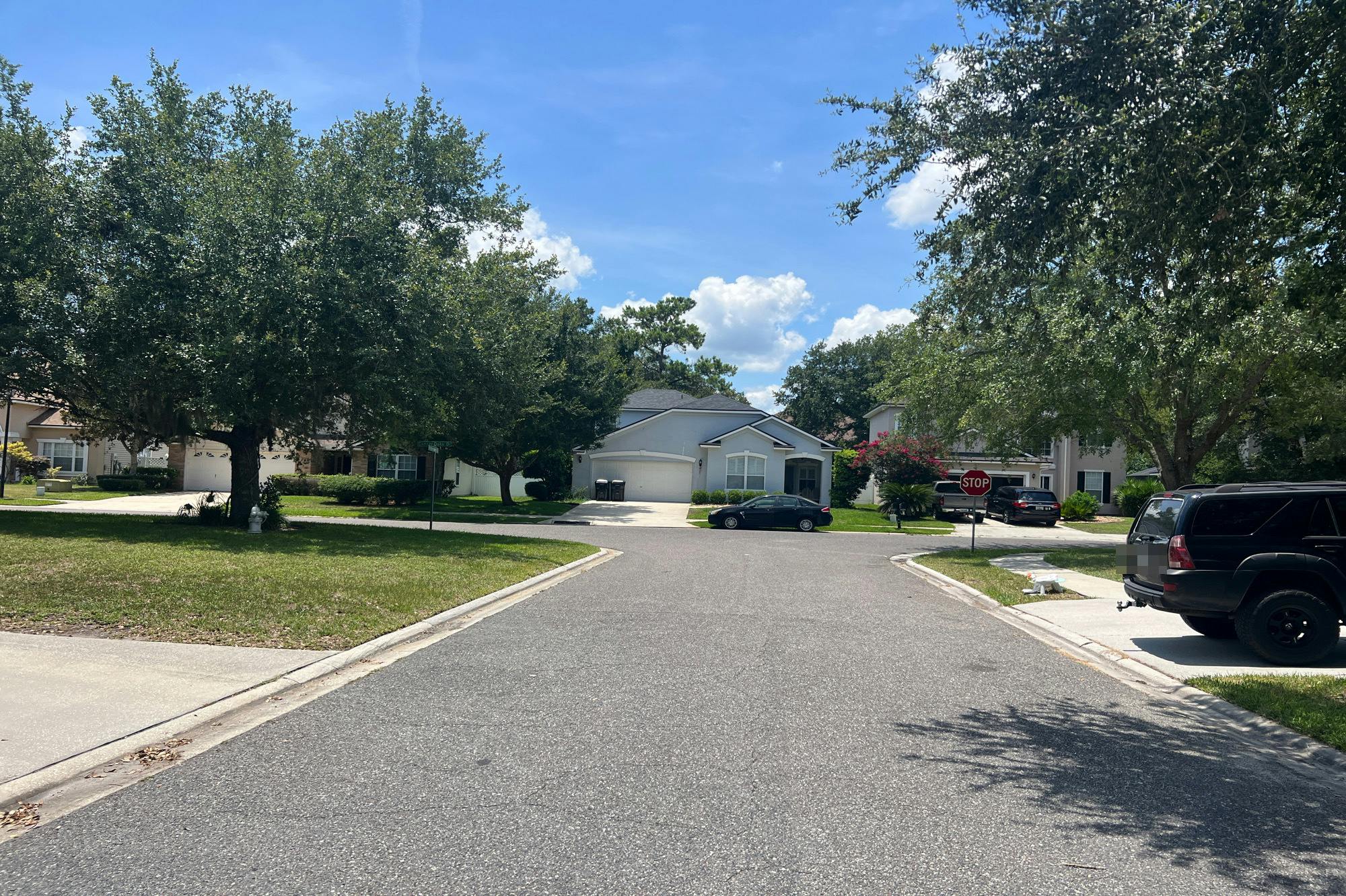 Bitterberry Dr, Orange Park, FL 32065