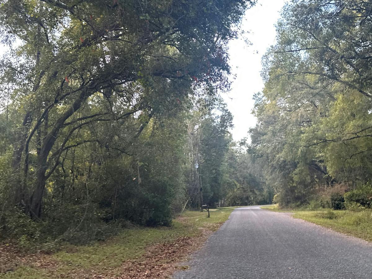 Quail Ln, Monticello, FL 32344
