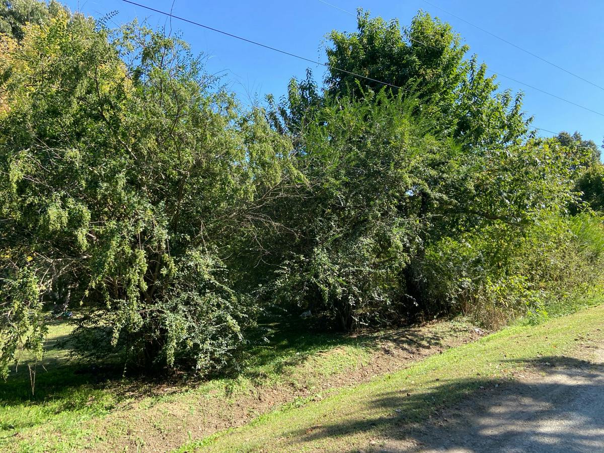 Pat Mann Jr Ln, Brownsville, TN 38012 #1