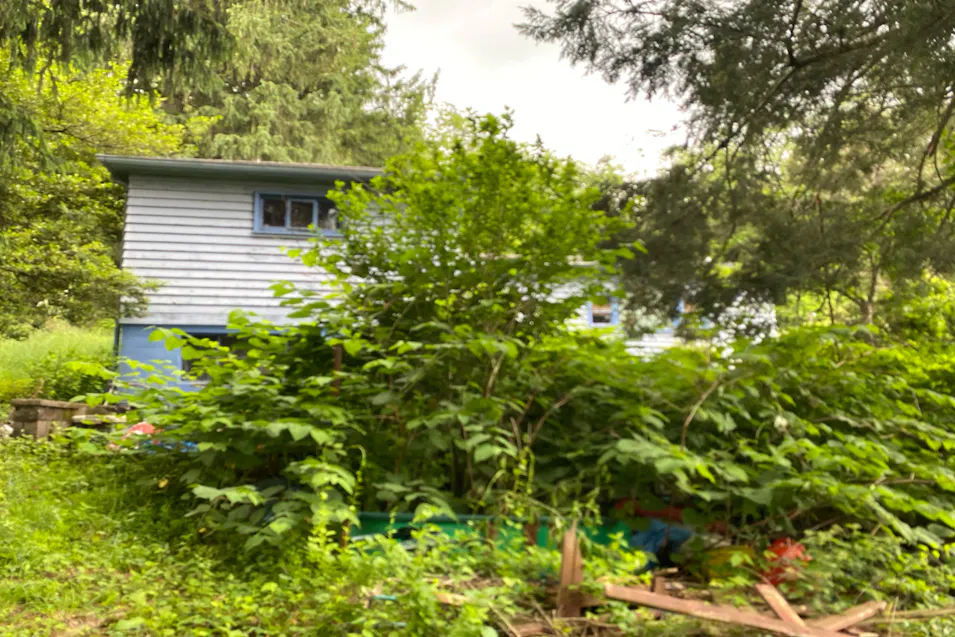 1705 Hill St White Oak, PA 15131, Allegheny County