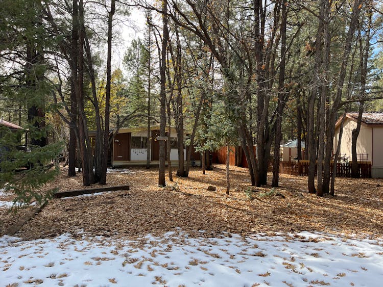 5369 S Blue Ridge Loop Pinetop, AZ 85935, Navajo County