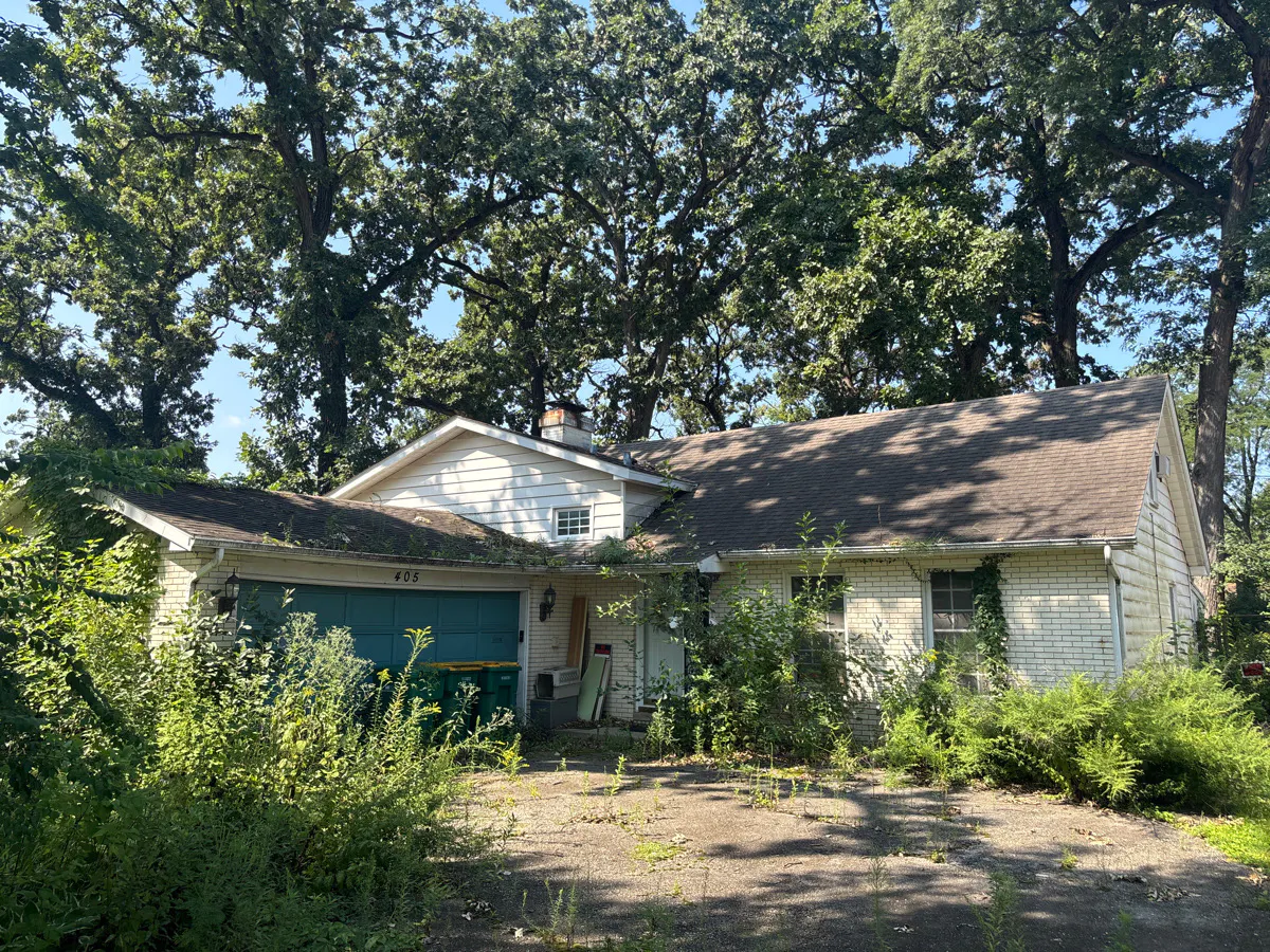 Reedwood Dr, Joliet, IL 60436 #1