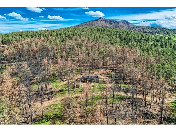 1448 Spruce Mountain Drive Drake, CO 80515, Larimer County