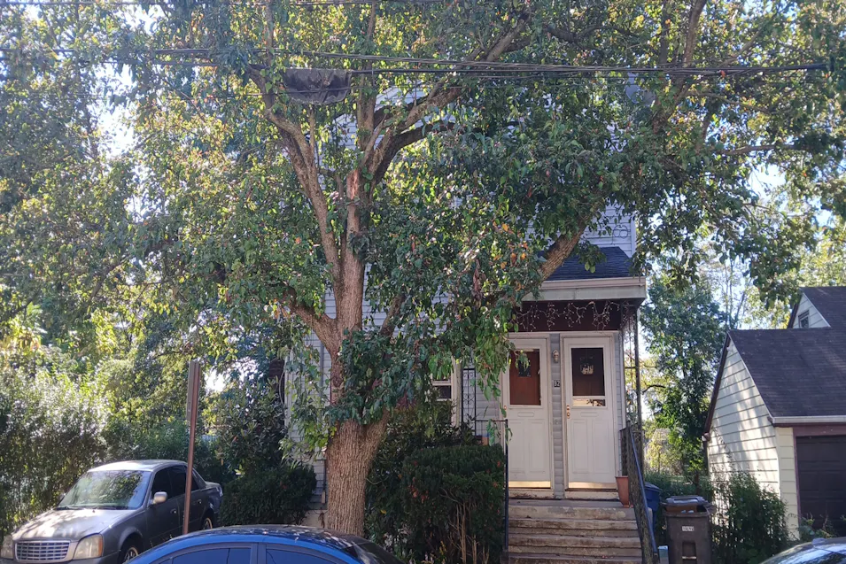 90 Willis St New Haven, CT 06511, New Haven County