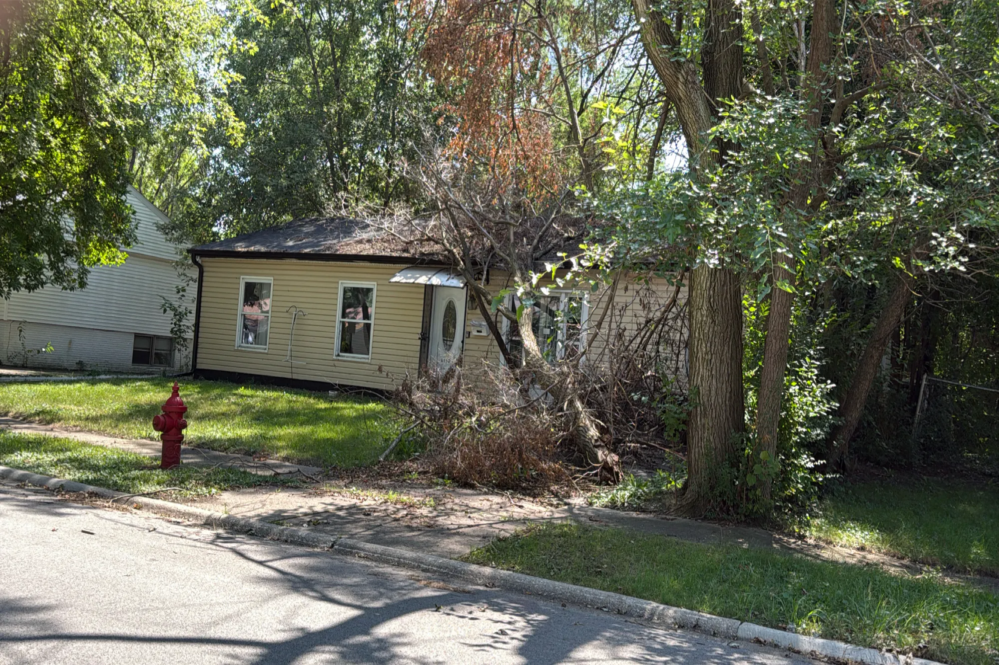 Birchwood Rd, Richton Park, IL 60471 #1