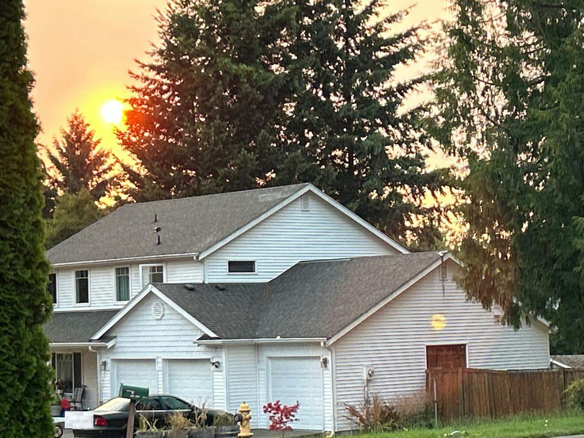 291st St, Roy, WA 98580 #1