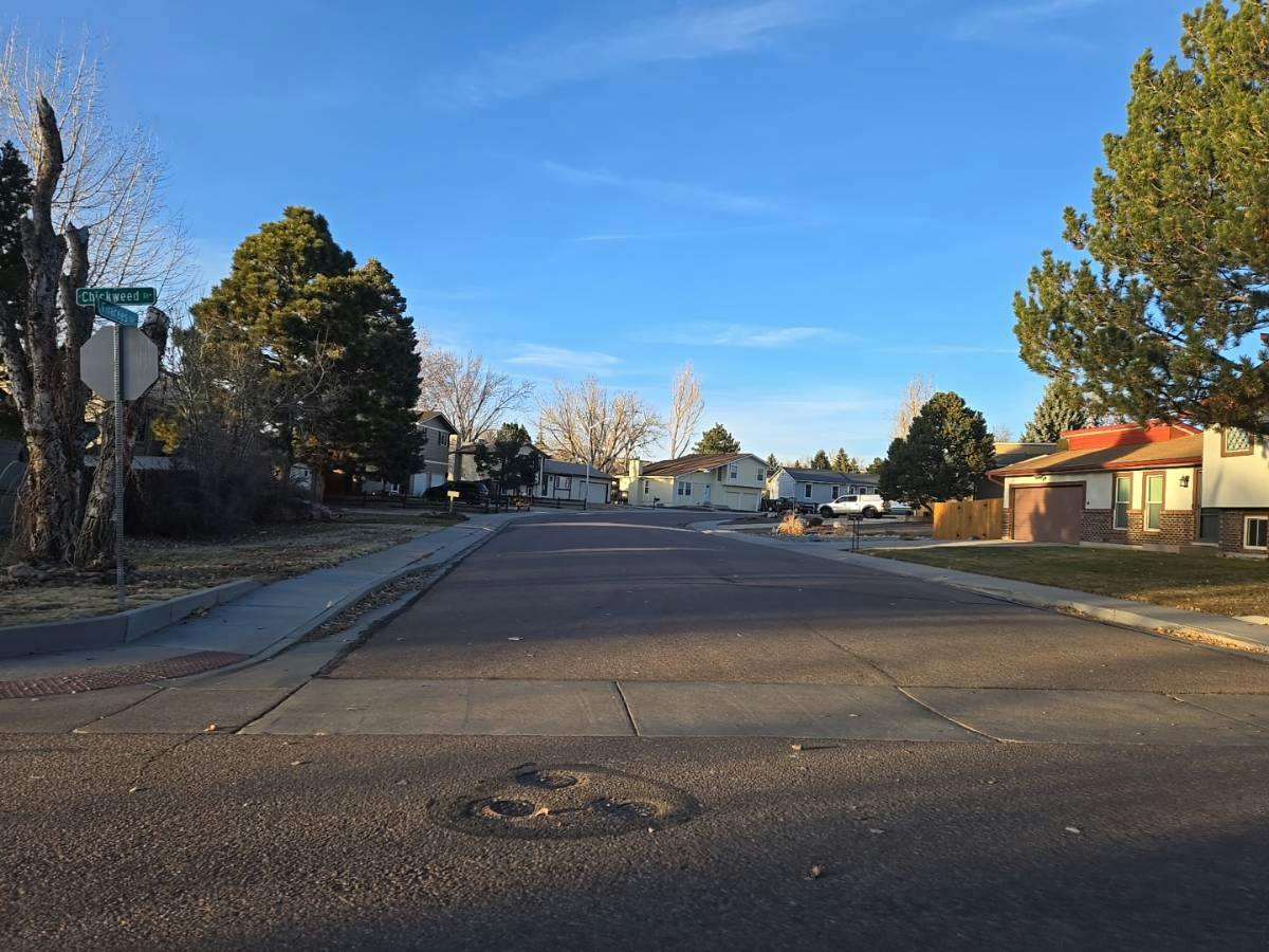 Chickweed Dr, Colorado Springs, CO 80917