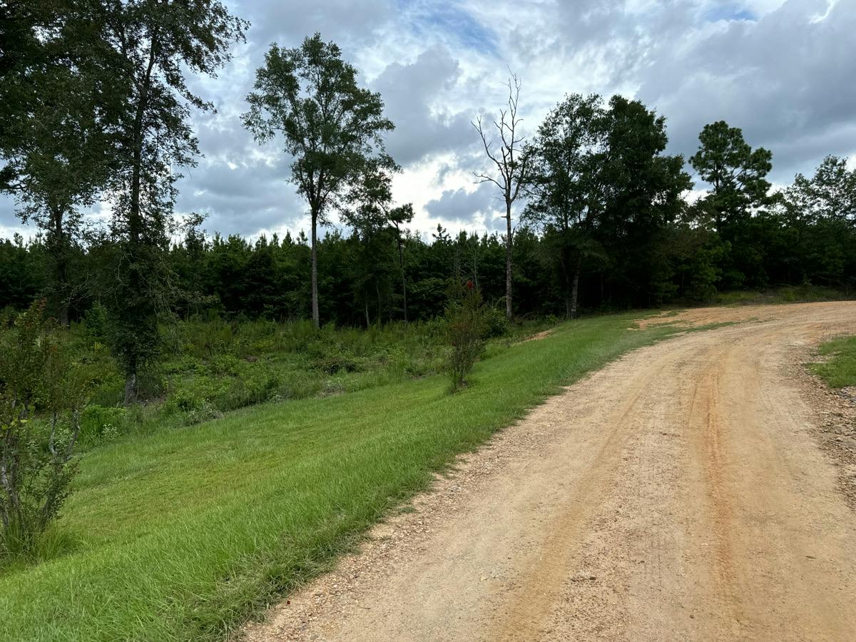 Buzz Saw Hl, Jena, LA 71342