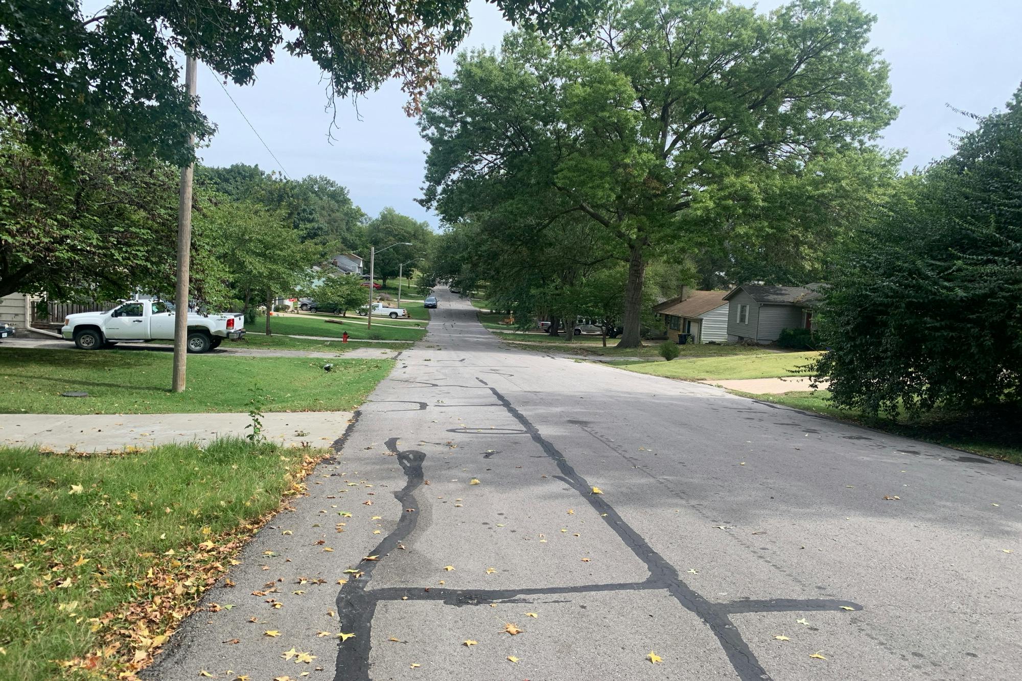 88th Ter, Kansas City, MO 64114 #1