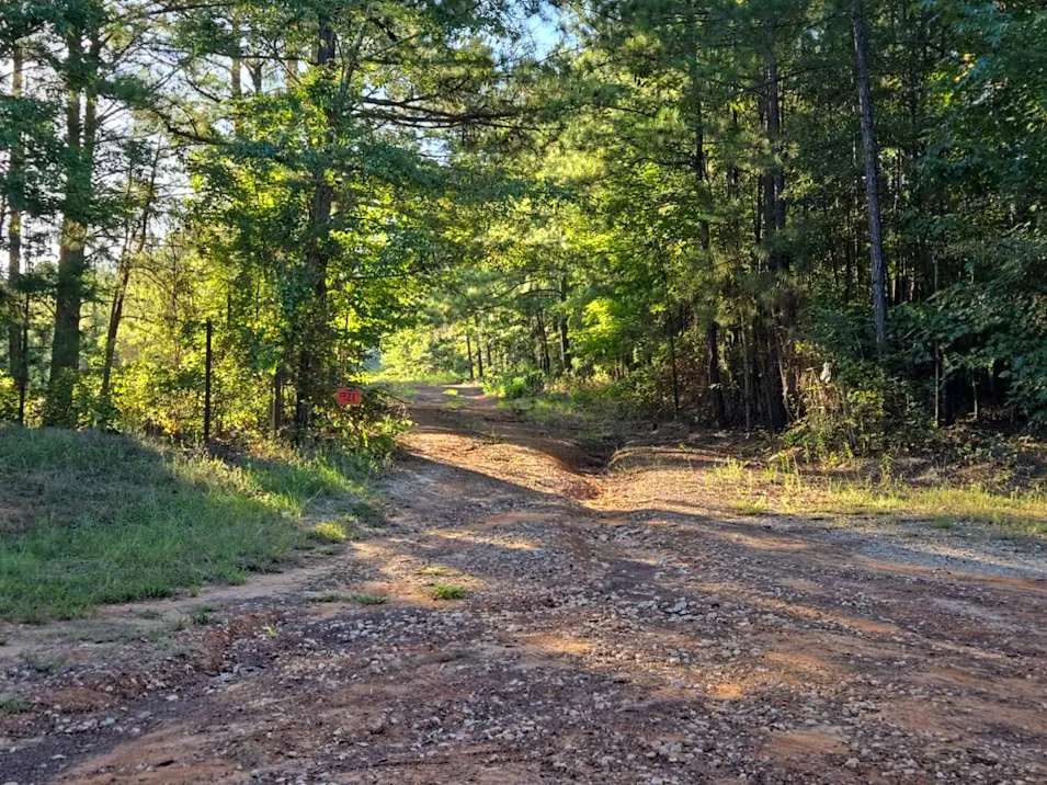 921 S Memory Lane Marshall, TX 75670, Harrison County