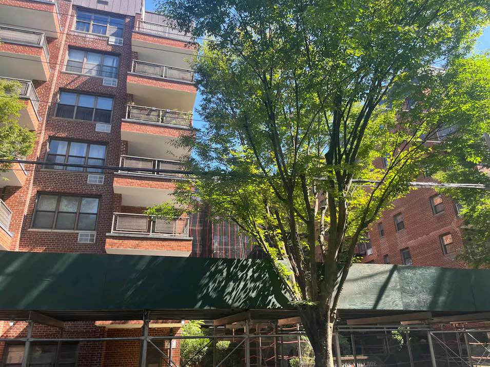 1199e 53rd St Brooklyn, NY 11234, Kings County