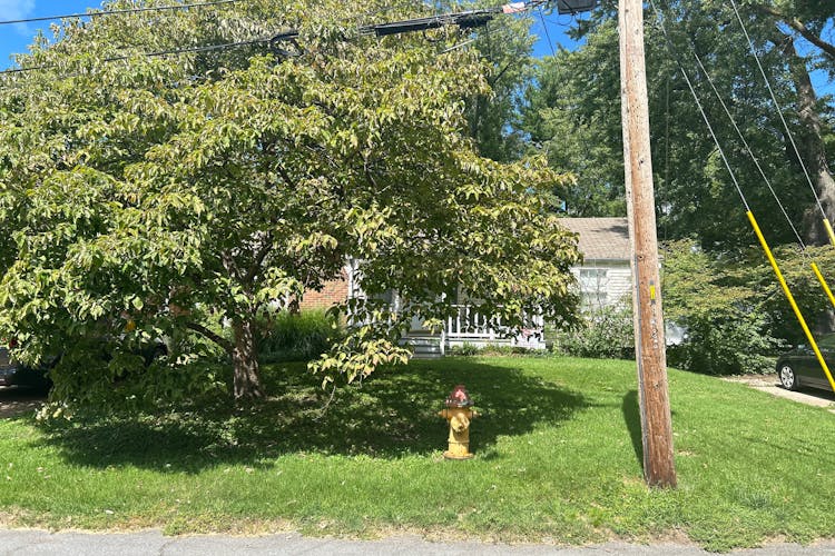 1395 Saint Francois St Florissant, MO 63033, St. Louis County