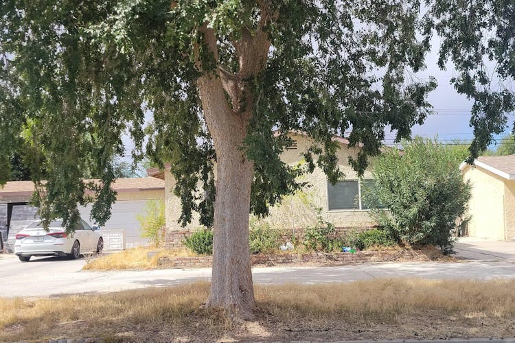 45509 Saigon Avenue Lancaster, CA 93534, Los Angeles County