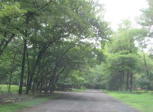 Michael St, Saylorsburg, PA 18353 #1