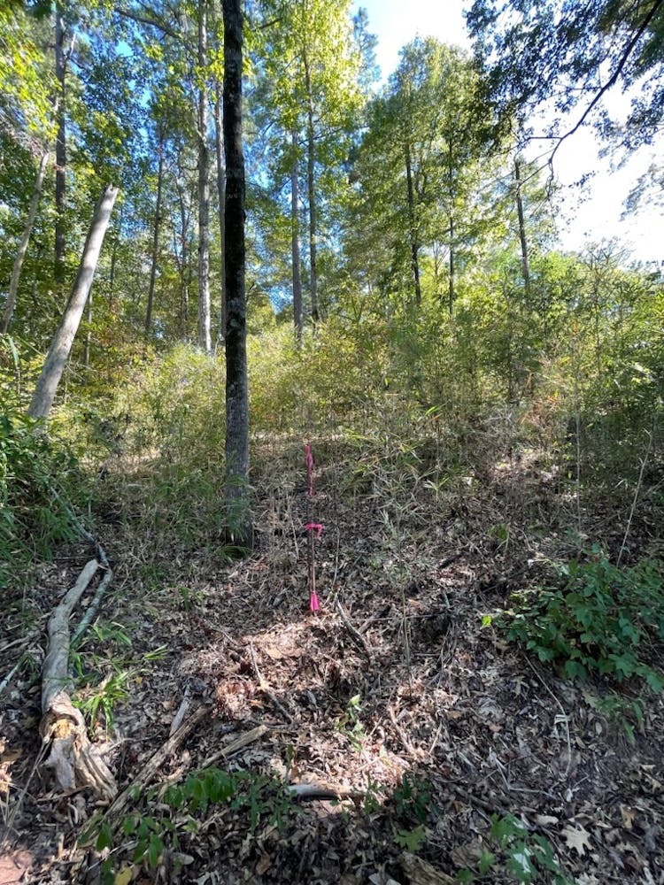 0 Lots 8 & 9 Of Hilly Nook Subdivision Section 15 7 13 Zwolle, LA 71462, Sabine County