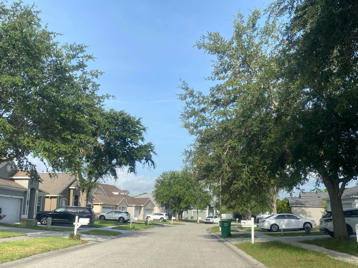 Oakhaven Ct, Lutz, FL 33559