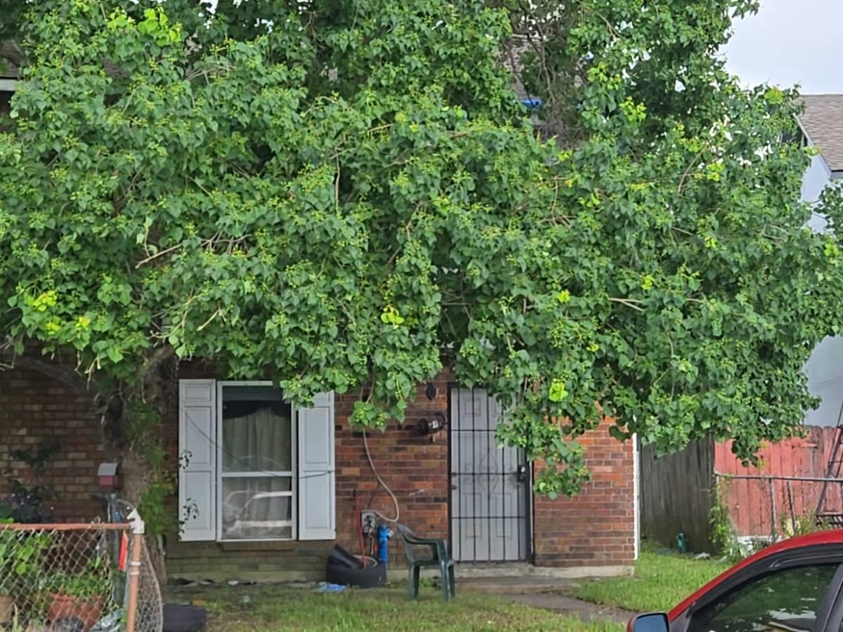 Pinewood Ct, New Orleans, LA 70114