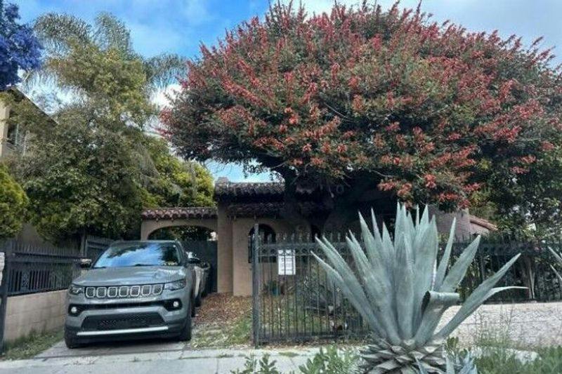 Mansfield Ave, Los Angeles, CA 90019