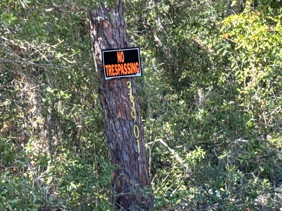 33901 County Rd 468 Leesburg, FL 34748, Lake County