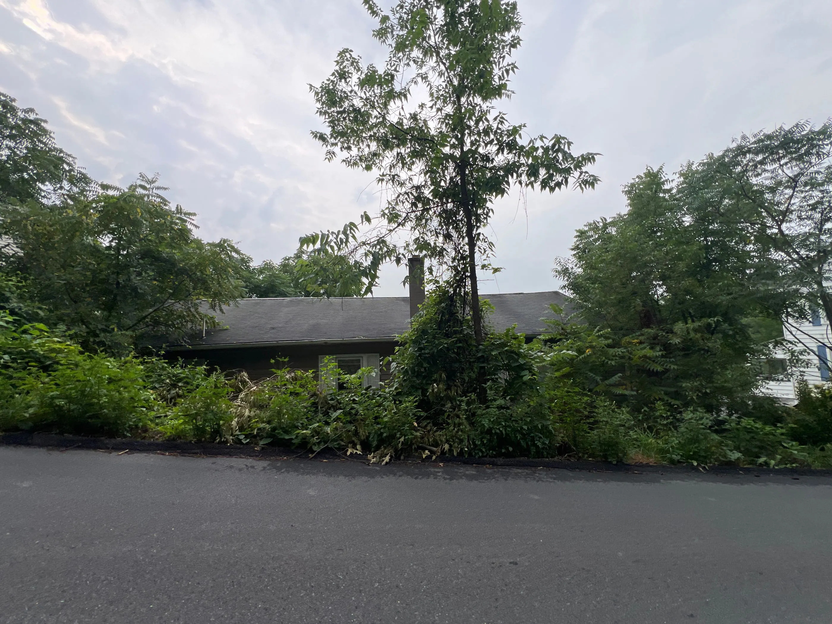 Creekside Dr, Enola, PA 17025 #1